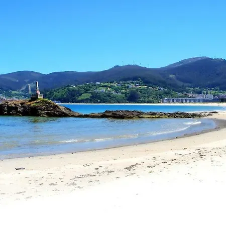 Duerming Family 3 Viveiro